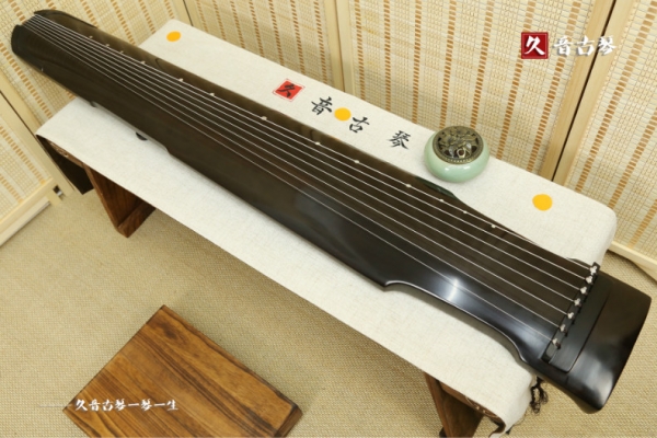 安庆市初级演奏古琴【仲尼式】